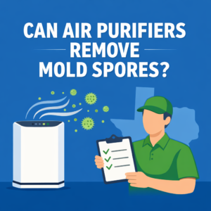 Read more about the article Can Air Purifiers Remove Mold Spores From Indoor Air?