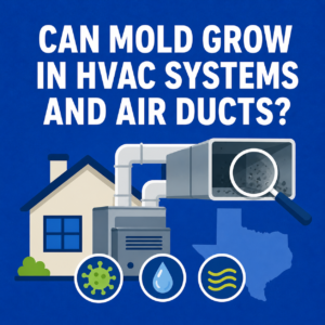 Read more about the article Can Mold Grow in HVAC Systems and Air Ducts?